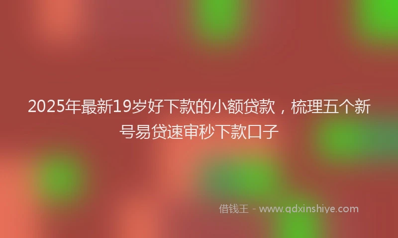 2025年最新19岁好下款的小额贷款，梳理五个新号易贷速审秒下款口子