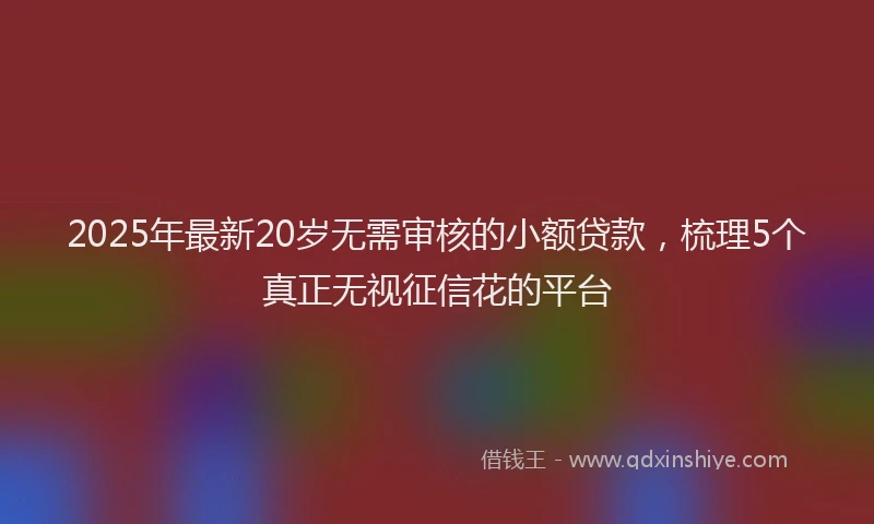 2025年最新20岁无需审核的小额贷款，梳理5个真正无视征信花的平台