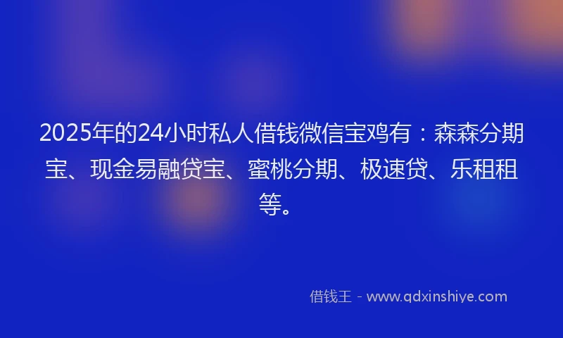 2025年的24小时私人借钱微信宝鸡有：森森分期宝、现金易融贷宝、蜜桃分期、极速贷、乐租租等。