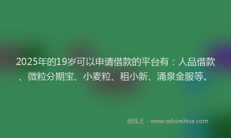 2025年的19岁可以申请借款的平台有：人品借款、微粒分期宝、小麦粒、租小新、涌泉金服等。