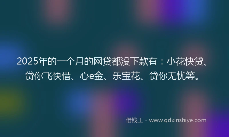 2025年的一个月的网贷都没下款有：小花快贷、贷你飞快借、心e金、乐宝花、贷你无忧等。
