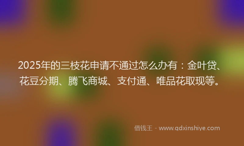 2025年的三枝花申请不通过怎么办有：金叶贷、花豆分期、腾飞商城、支付通、唯品花取现等。