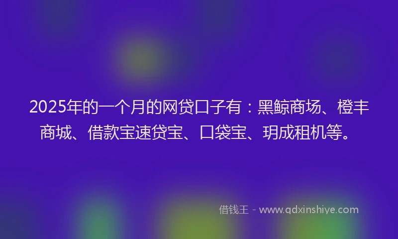 2025年的一个月的网贷口子有：黑鲸商场、橙丰商城、借款宝速贷宝、口袋宝、玥成租机等。