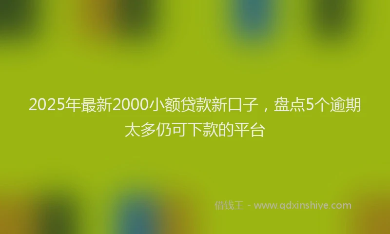2025年最新2000小额贷款新口子，盘点5个逾期太多仍可下款的平台