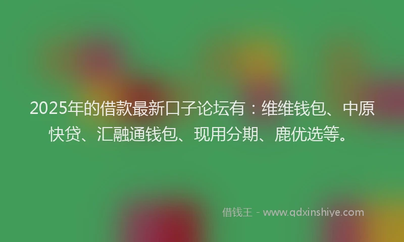 2025年的借款最新口子论坛有：维维钱包、中原快贷、汇融通钱包、现用分期、鹿优选等。