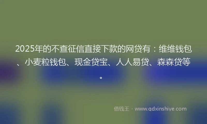 2025年的不查征信直接下款的网贷有：维维钱包、小麦粒钱包、现金贷宝、人人易贷、森森贷等。