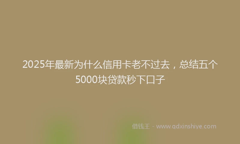 2025年最新为什么信用卡老不过去，总结五个5000块贷款秒下口子