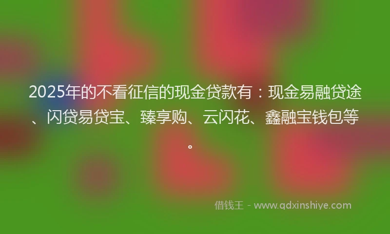 2025年的不看征信的现金贷款有：现金易融贷途、闪贷易贷宝、臻享购、云闪花、鑫融宝钱包等。
