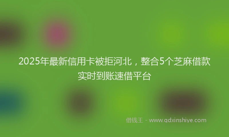 2025年最新信用卡被拒河北，整合5个芝麻借款实时到账速借平台