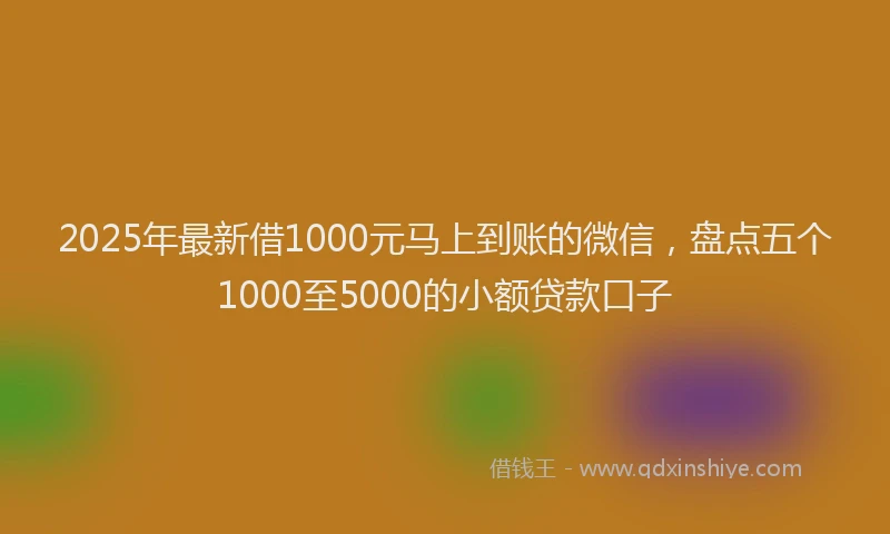 2025年最新借1000元马上到账的微信，盘点五个1000至5000的小额贷款口子