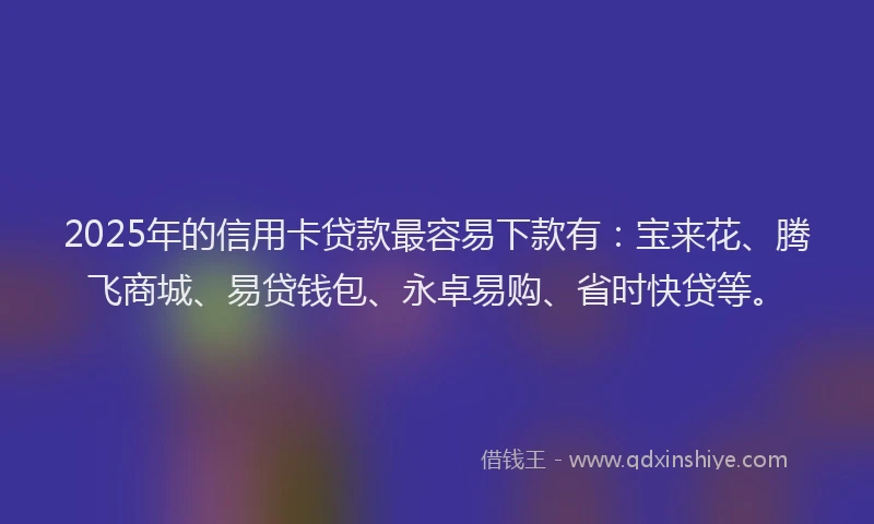 2025年的信用卡贷款最容易下款有：宝来花、腾飞商城、易贷钱包、永卓易购、省时快贷等。