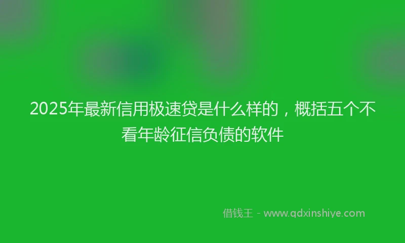 2025年最新信用极速贷是什么样的，概括五个不看年龄征信负债的软件