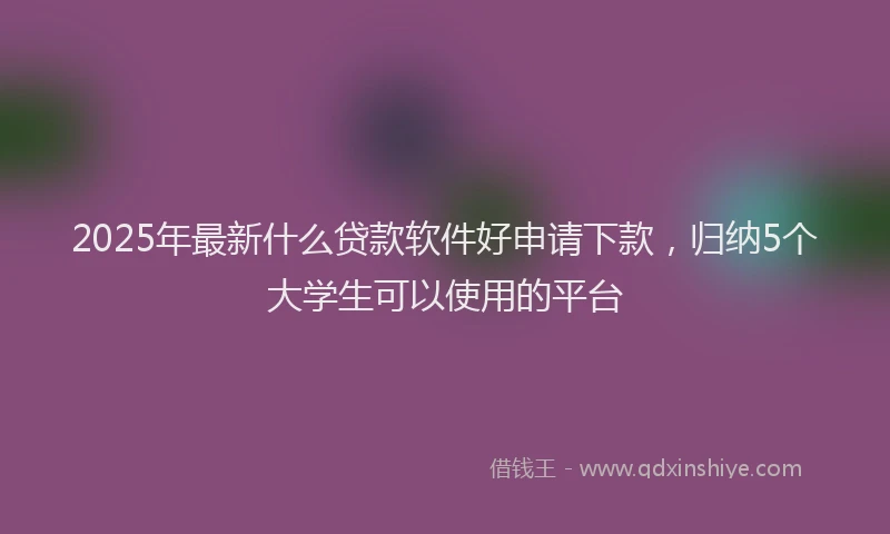 2025年最新什么贷款软件好申请下款，归纳5个大学生可以使用的平台