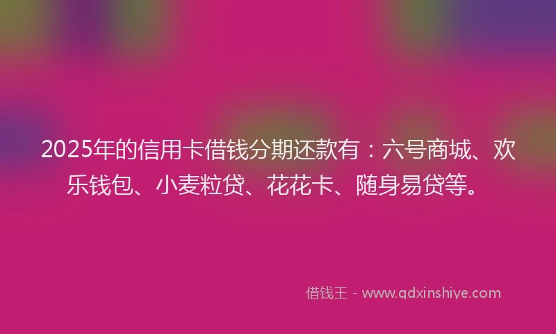 2025年的信用卡借钱分期还款有：六号商城、欢乐钱包、小麦粒贷、花花卡、随身易贷等。