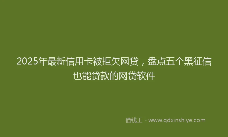 2025年最新信用卡被拒欠网贷，盘点五个黑征信也能贷款的网贷软件