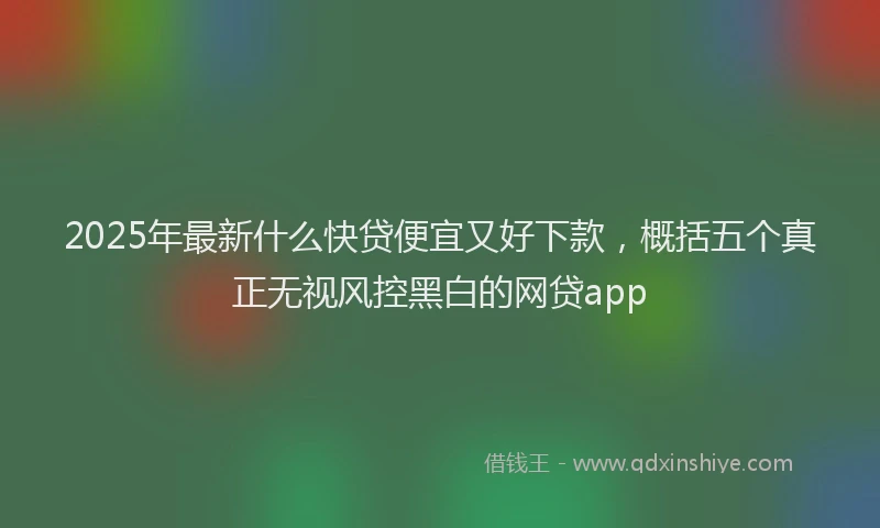 2025年最新什么快贷便宜又好下款，概括五个真正无视风控黑白的网贷app