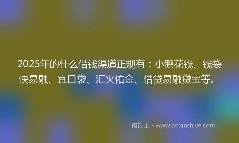 2025年的什么借钱渠道正规有：小鹅花钱、钱袋快易融、宜口袋、汇火佑金、借贷易融贷宝等。