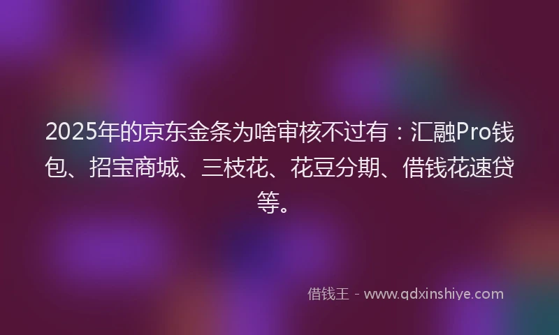 2025年的京东金条为啥审核不过有：汇融Pro钱包、招宝商城、三枝花、花豆分期、借钱花速贷等。