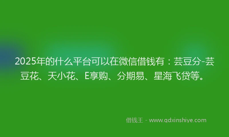 2025年的什么平台可以在微信借钱有：芸豆分-芸豆花、天小花、E享购、分期易、星海飞贷等。