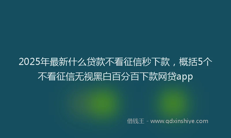 2025年最新什么贷款不看征信秒下款，概括5个不看征信无视黑白百分百下款网贷app