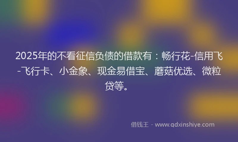 2025年的不看征信负债的借款有：畅行花-信用飞-飞行卡、小金象、现金易借宝、蘑菇优选、微粒贷等。