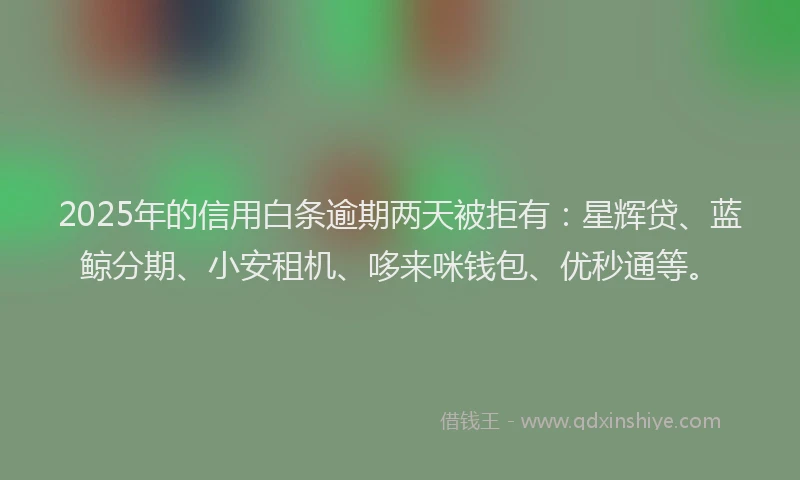 2025年的信用白条逾期两天被拒有：星辉贷、蓝鲸分期、小安租机、哆来咪钱包、优秒通等。