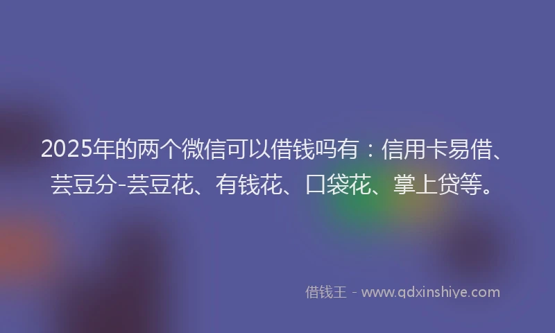 2025年的两个微信可以借钱吗有：信用卡易借、芸豆分-芸豆花、有钱花、口袋花、掌上贷等。