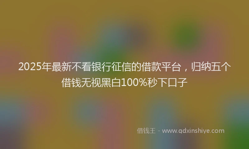 2025年最新不看银行征信的借款平台，归纳五个借钱无视黑白100%秒下口子