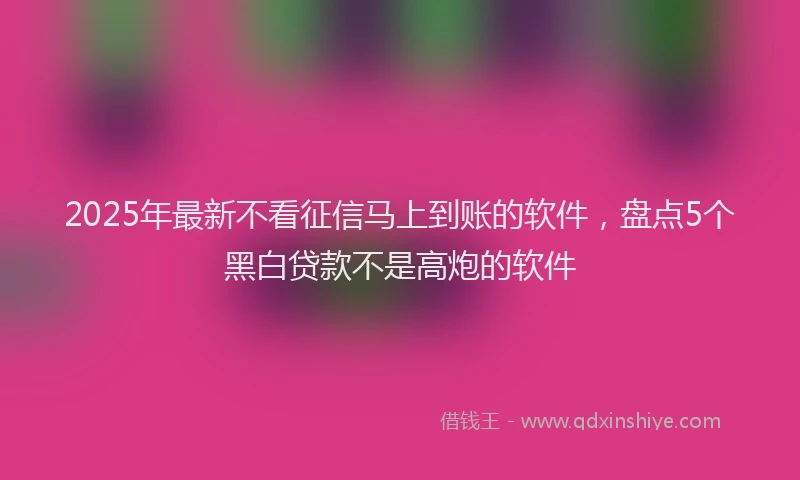 2025年最新不看征信马上到账的软件，盘点5个黑白贷款不是高炮的软件