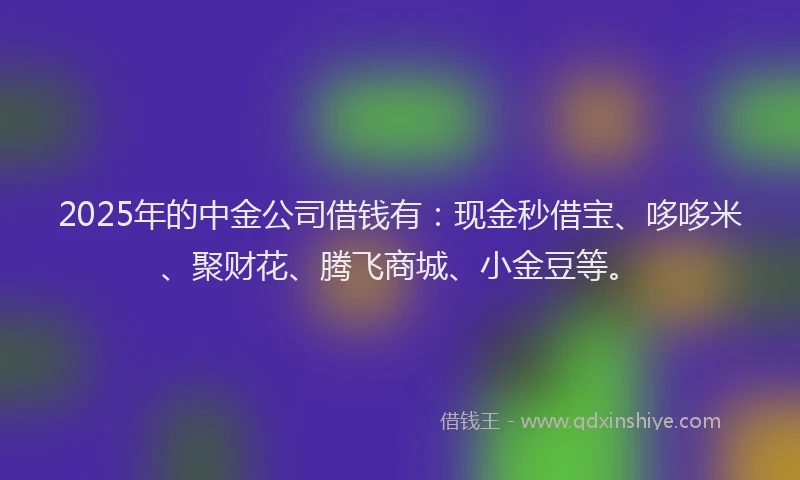 2025年的中金公司借钱有：现金秒借宝、哆哆米、聚财花、腾飞商城、小金豆等。