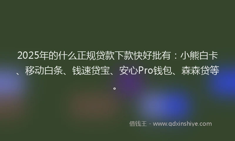 2025年的什么正规贷款下款快好批有：小熊白卡、移动白条、钱速贷宝、安心Pro钱包、森森贷等。