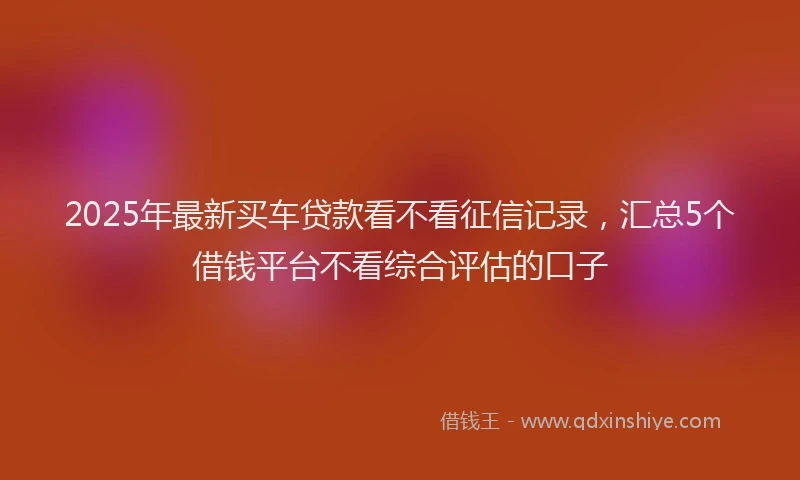 2025年最新买车贷款看不看征信记录，汇总5个借钱平台不看综合评估的口子
