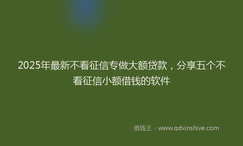 2025年最新不看征信专做大额贷款，分享五个不看征信小额借钱的软件