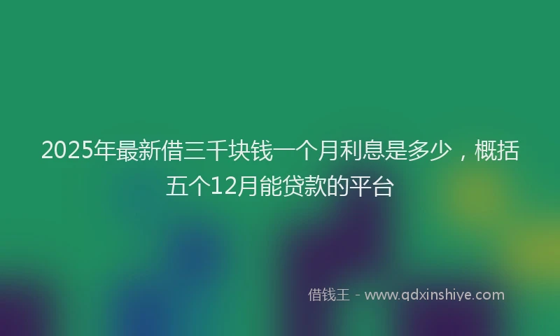 2025年最新借三千块钱一个月利息是多少，概括五个12月能贷款的平台