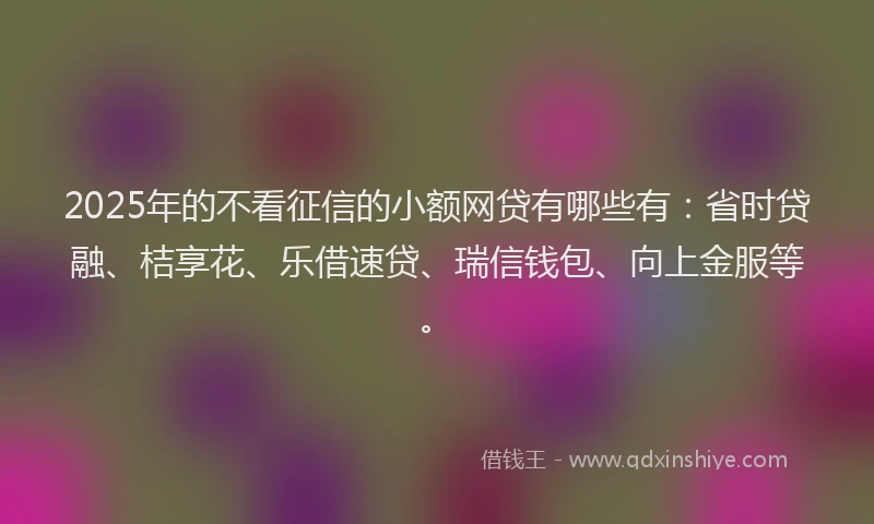 2025年的不看征信的小额网贷有哪些有：省时贷融、桔享花、乐借速贷、瑞信钱包、向上金服等。