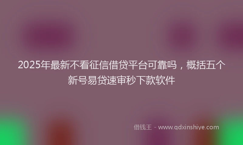 2025年最新不看征信借贷平台可靠吗，概括五个新号易贷速审秒下款软件