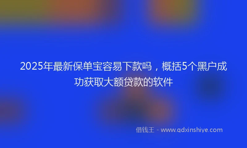 2025年最新保单宝容易下款吗，概括5个黑户成功获取大额贷款的软件