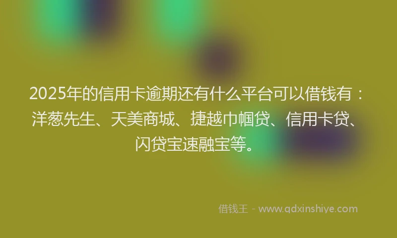 2025年的信用卡逾期还有什么平台可以借钱有：洋葱先生、天美商城、捷越巾帼贷、信用卡贷、闪贷宝速融宝等。