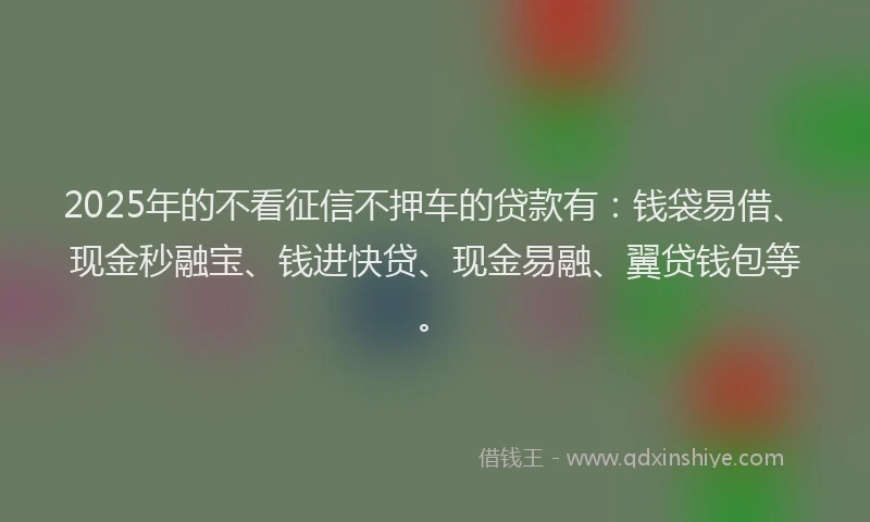 2025年的不看征信不押车的贷款有：钱袋易借、现金秒融宝、钱进快贷、现金易融、翼贷钱包等。