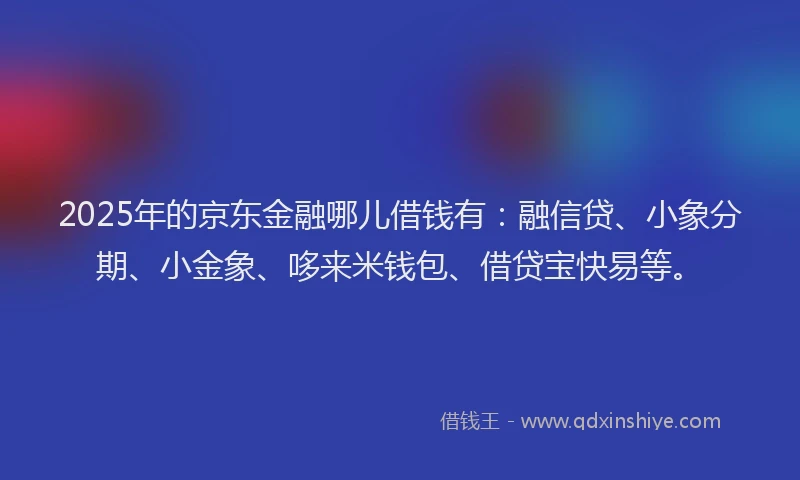 2025年的京东金融哪儿借钱有：融信贷、小象分期、小金象、哆来米钱包、借贷宝快易等。