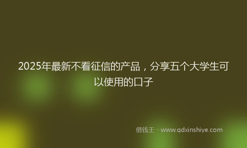 2025年最新不看征信的产品，分享五个大学生可以使用的口子