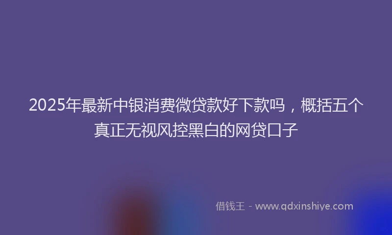 2025年最新中银消费微贷款好下款吗，概括五个真正无视风控黑白的网贷口子