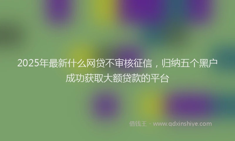 2025年最新什么网贷不审核征信，归纳五个黑户成功获取大额贷款的平台