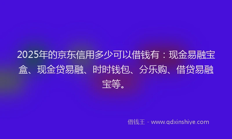 2025年的京东信用多少可以借钱有：现金易融宝盒、现金贷易融、时时钱包、分乐购、借贷易融宝等。