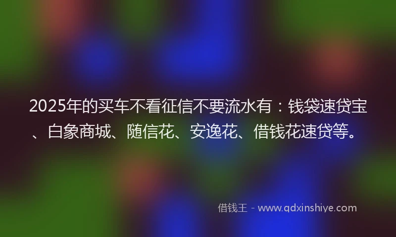 2025年的买车不看征信不要流水有：钱袋速贷宝、白象商城、随信花、安逸花、借钱花速贷等。
