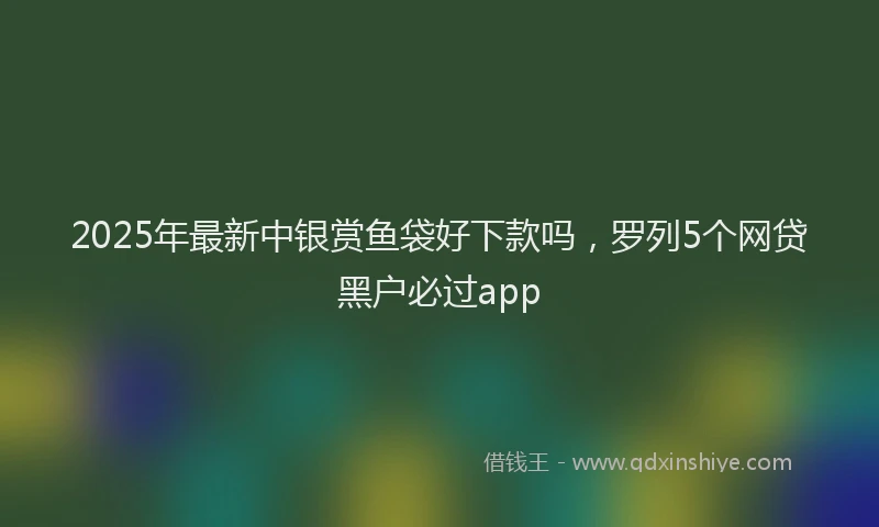 2025年最新中银赏鱼袋好下款吗，罗列5个网贷黑户必过app