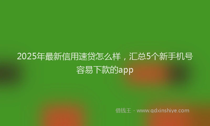 2025年最新信用速贷怎么样，汇总5个新手机号容易下款的app
