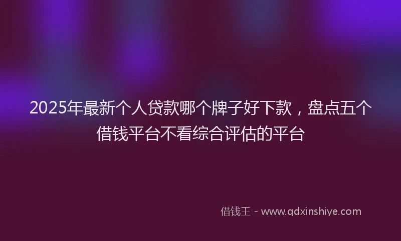 2025年最新个人贷款哪个牌子好下款，盘点五个借钱平台不看综合评估的平台
