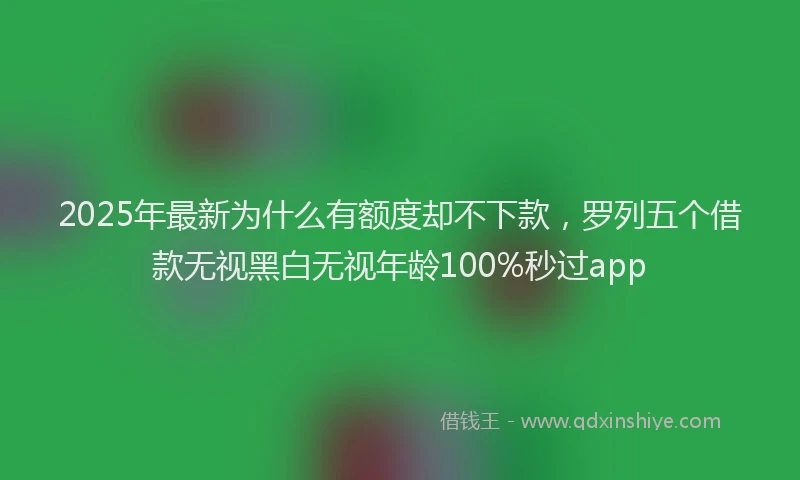2025年最新为什么有额度却不下款，罗列五个借款无视黑白无视年龄100%秒过app