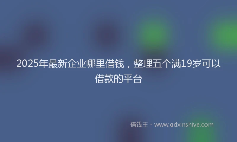 2025年最新企业哪里借钱，整理五个满19岁可以借款的平台
